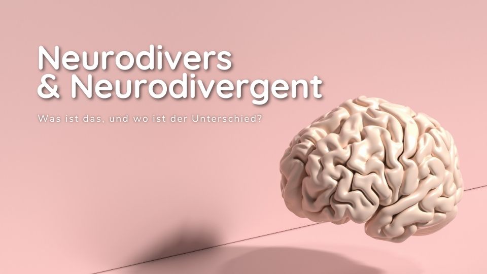 Rosa Banner mit einem Gehirn, darauf steht "Neurodivers und Neurodivergent. Was ist das, und wo ist der Unterschied?
