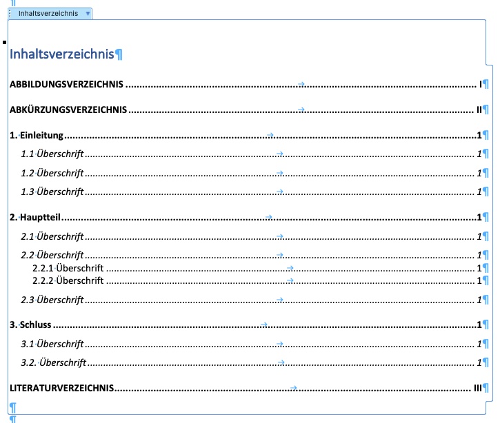 Screenshot eines Inhaltsverzeichnisses mit Platzhalterin in dem Programm Word