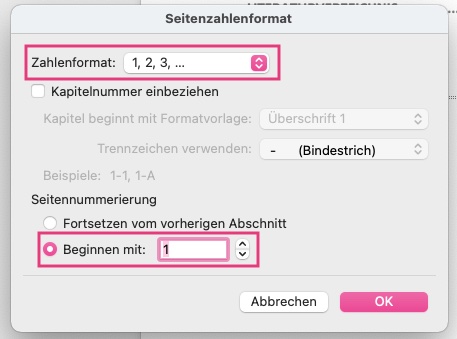 Screenshot Word Anleitung Seitenzahlen formatieren